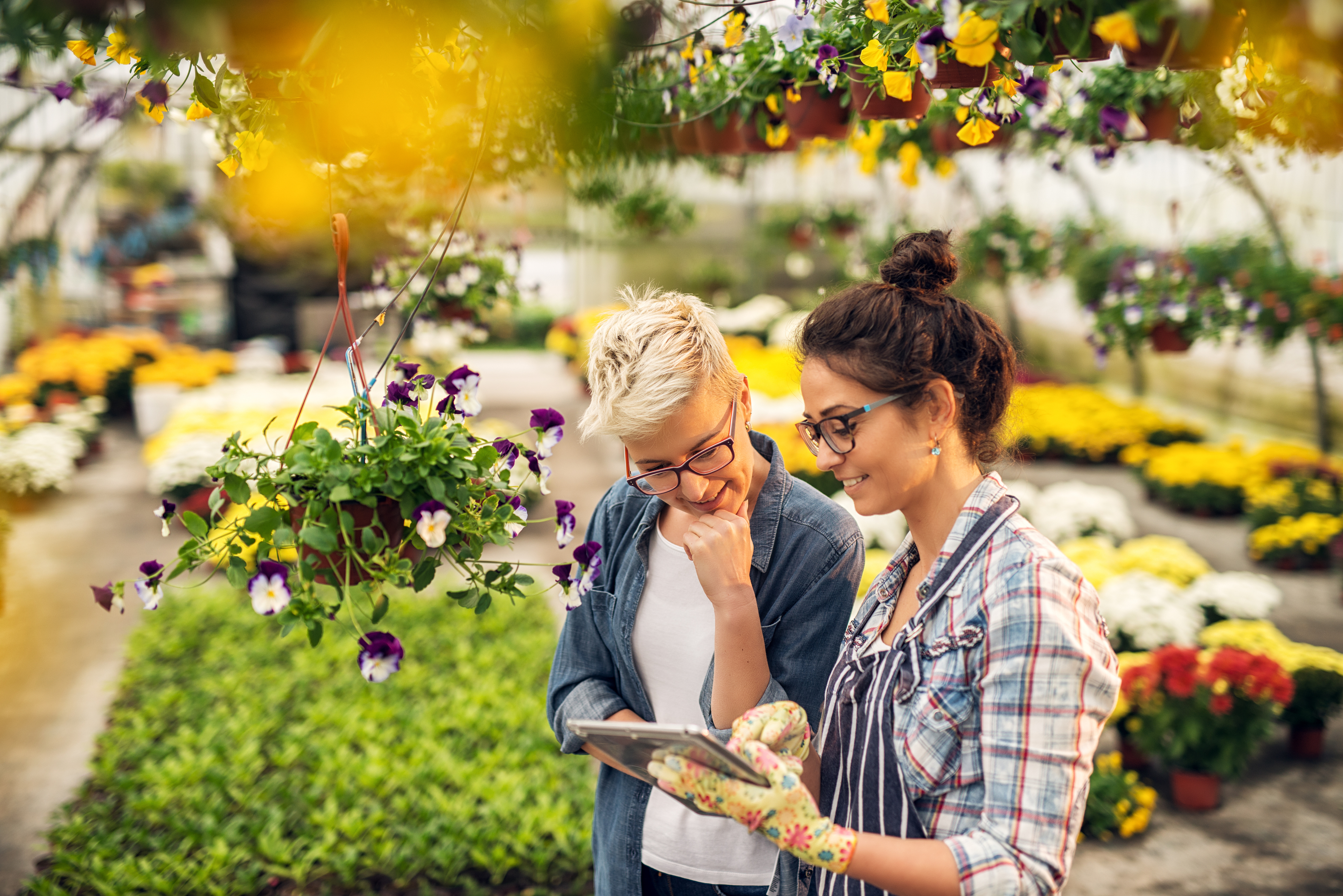 Gardens and Nurseries are easy to navigate and water with metal tags!